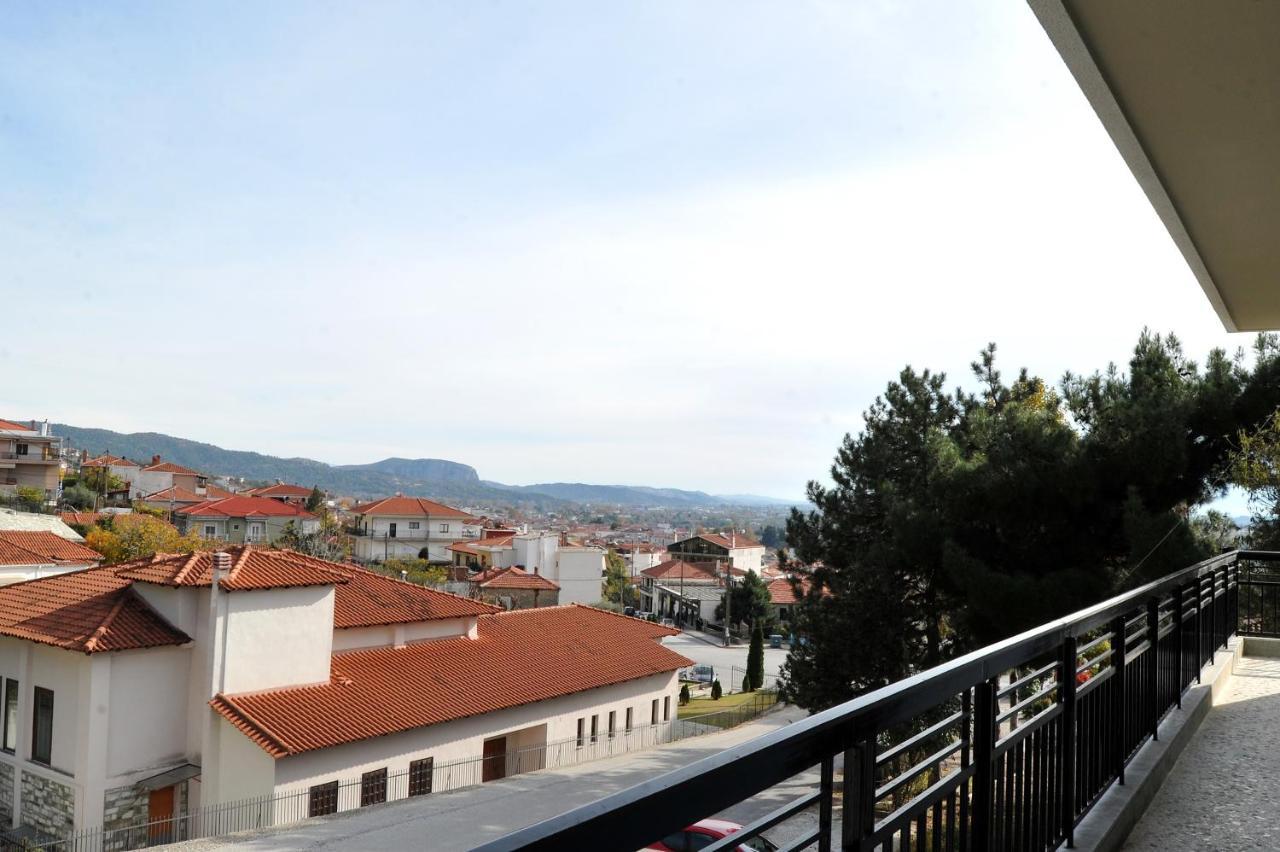 Ananta House Βίλα Καλαμπάκα Εξωτερικό φωτογραφία